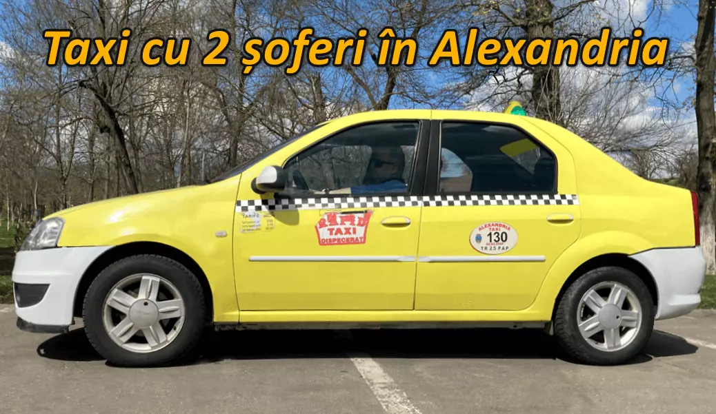 taximetrist in alexandria